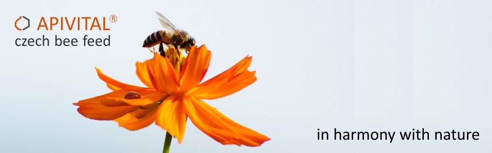 APIVITAL® syrup bee feed - safe, clean and economical-inexpensive bee feed, high quality for bees and comfortable for beekeepers