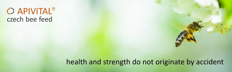 APIVITAL® syrup - beekeepers using it affirm constantly, that colonies are stronger, more vital and better developing in spring