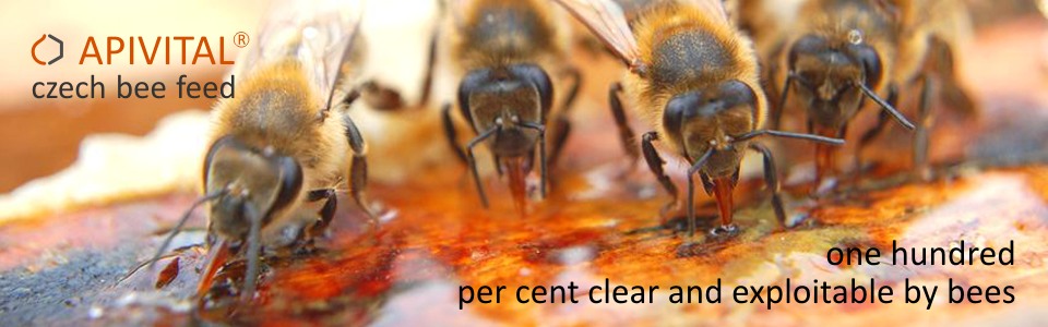 Thanks to predominance of fructose, supplies does not crystallize even at low temperature and are available to bees all winter.